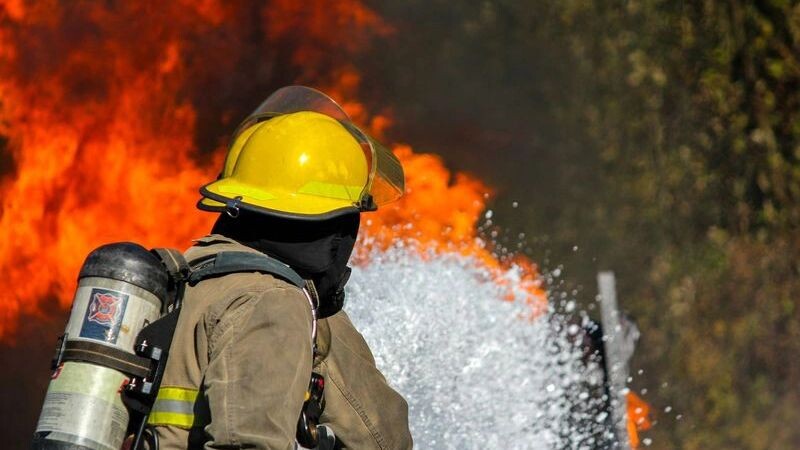    Фото: Daniel Avram/Shutterstock/Fotodom