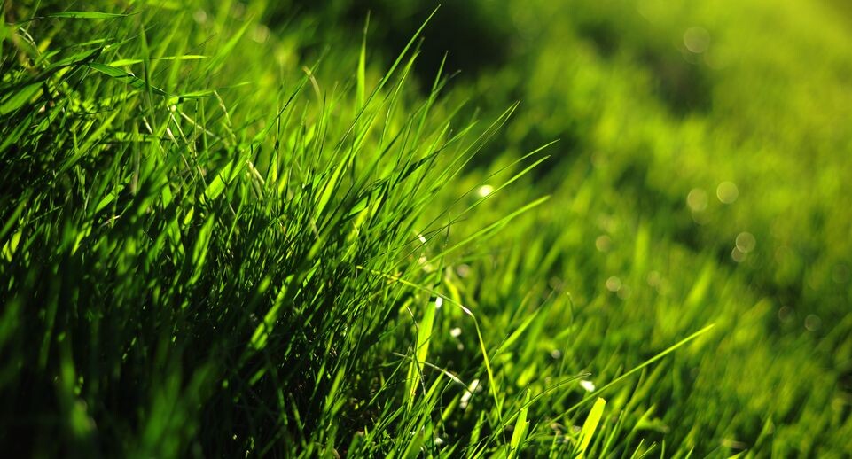    Медиасток.рф