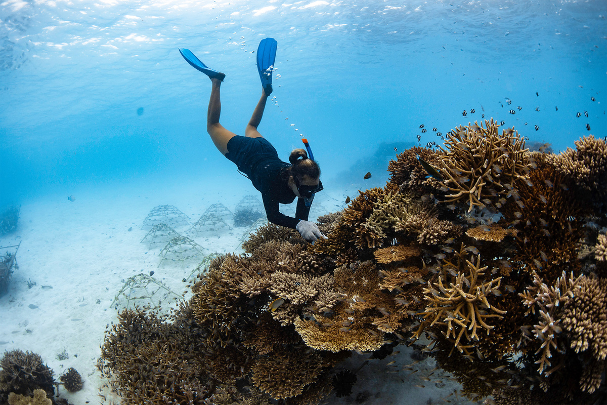     Где отдыхать на Мальдивах: остров, на котором праздник всегда с тобой
