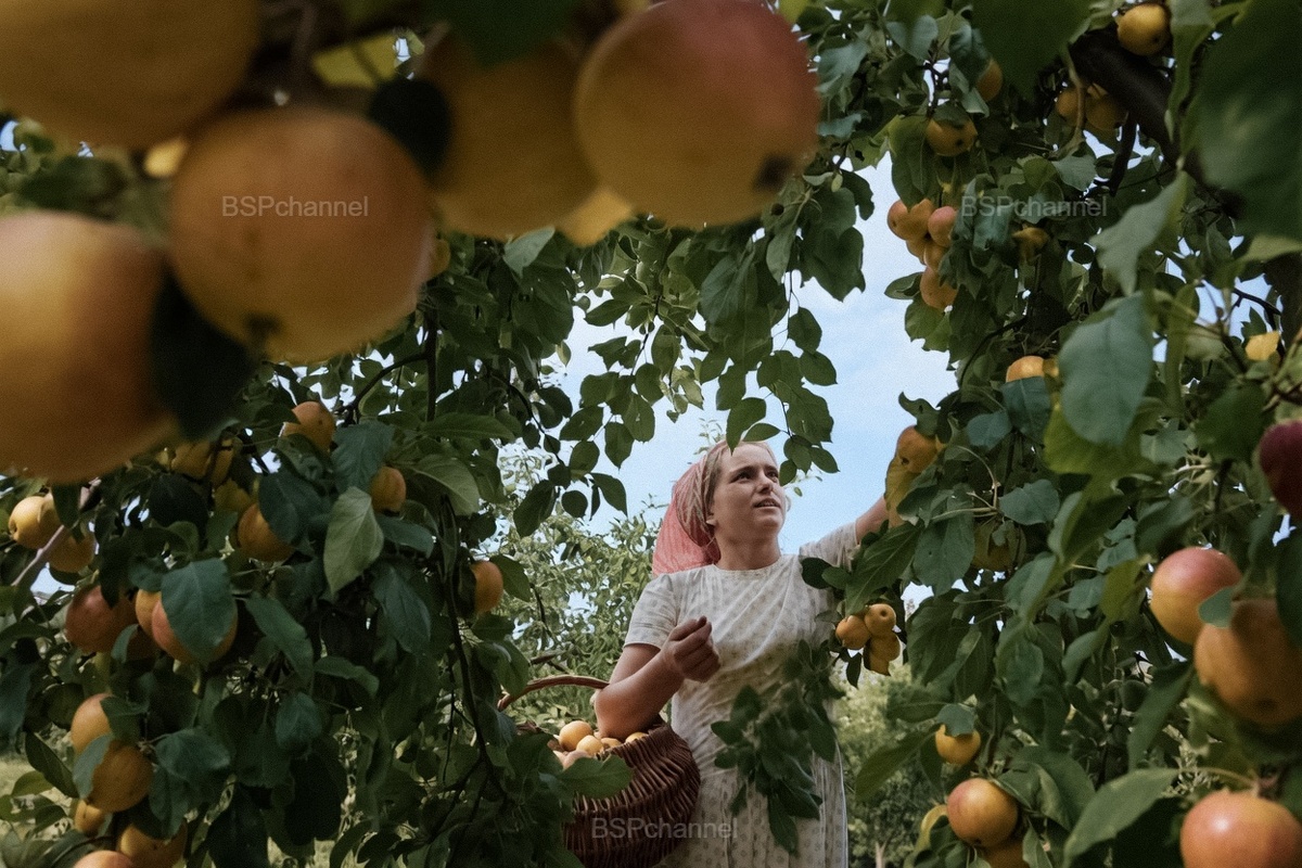 Фотограф: Лев Устинов