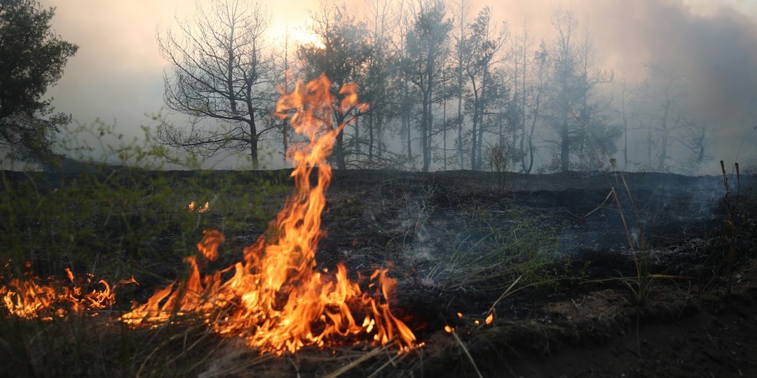 Контролируемые отжиги сухой растительности проходят в Волгоградской области