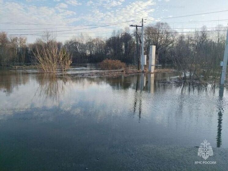     Фото: МЧС России по Калужской области