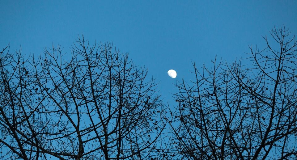    Луна на небе в городе Дзержинский / Медиасток.рф