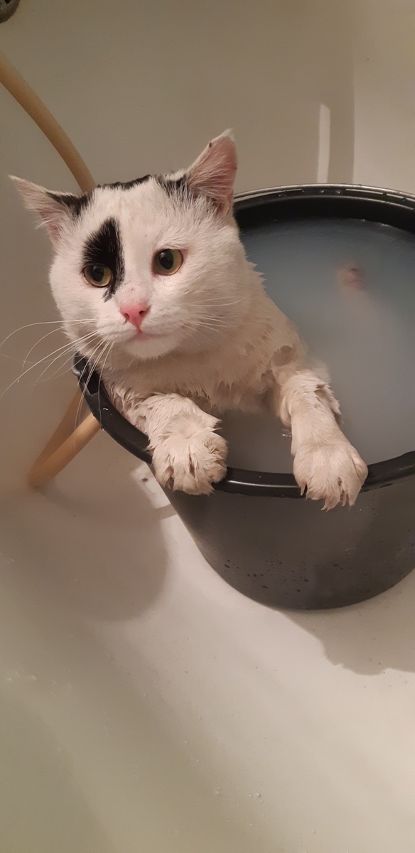 -"Ну, готовься, теперь будешь с каплями гулять!" -"Я больше вообще не выйду!"