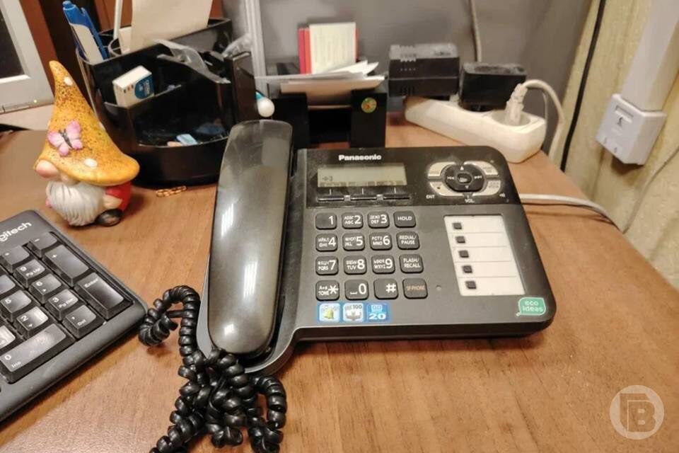    Фото: Дмитрий Рогулин / "Городские вести"