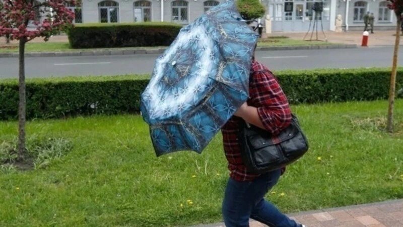     Фото: ИА «Победа26»