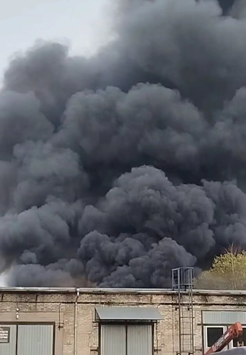    Фото: стоп-кадр видео в телеграм-канале «Мегаполис | ДТП и ЧП | Санкт-Петербург | Питер».