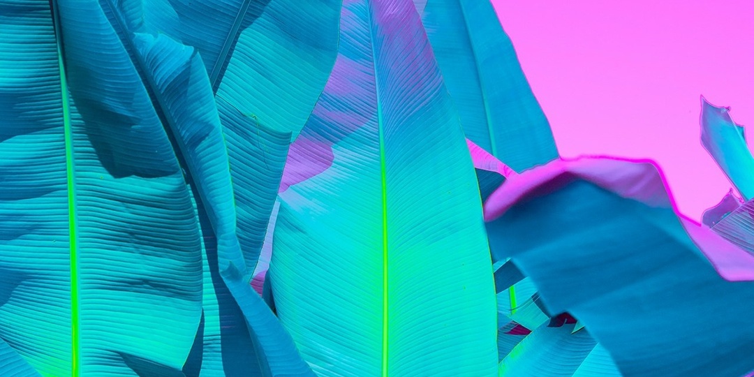 ФОТОГРАФ Слава Семенюта | Россия