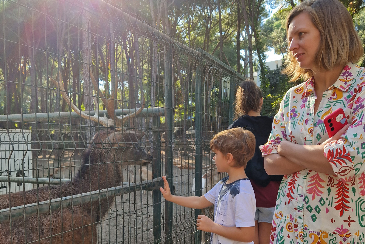 Отель Bellis Deluxe Hotel 5*