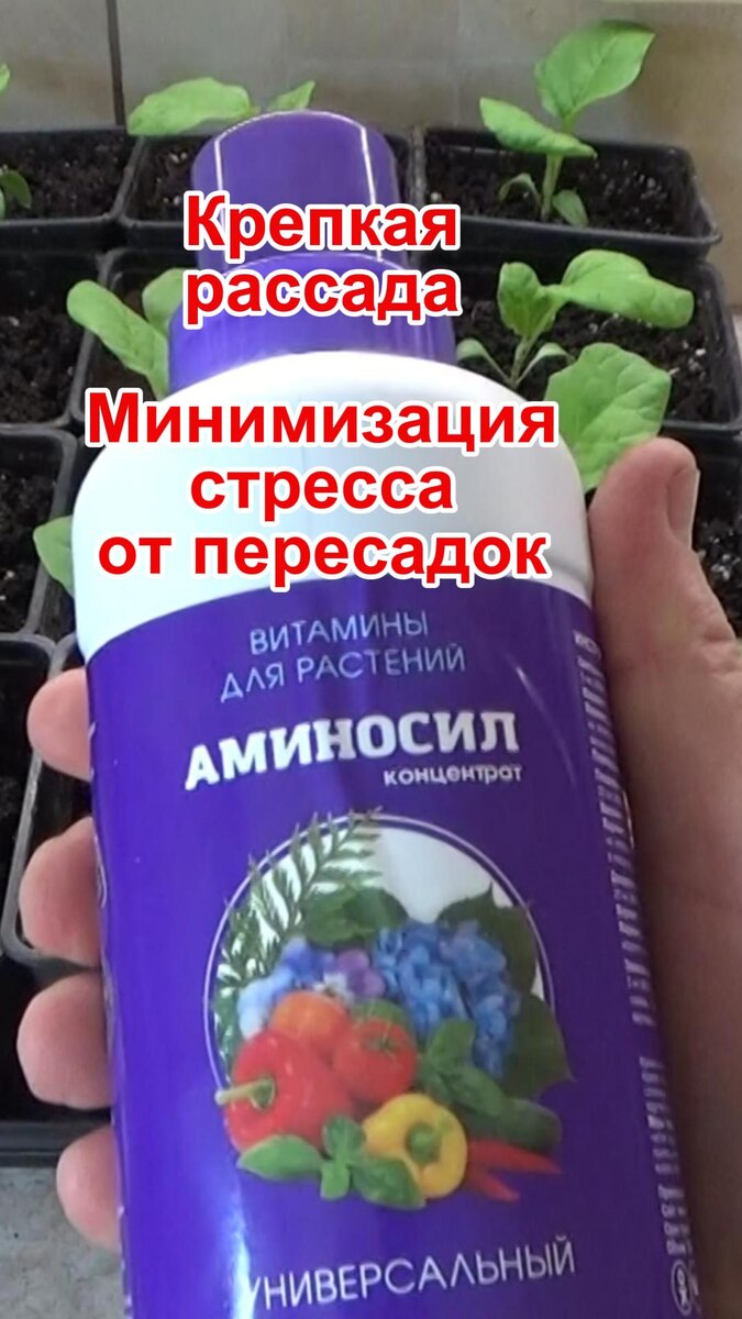 Витамины для растений Аминосил