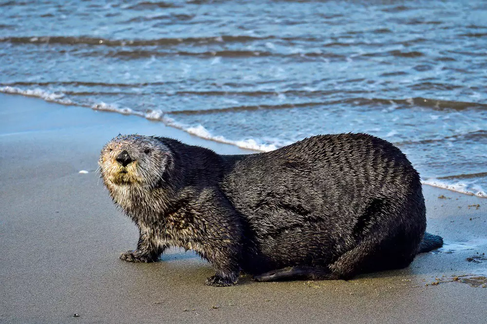 Когда вышел из душа