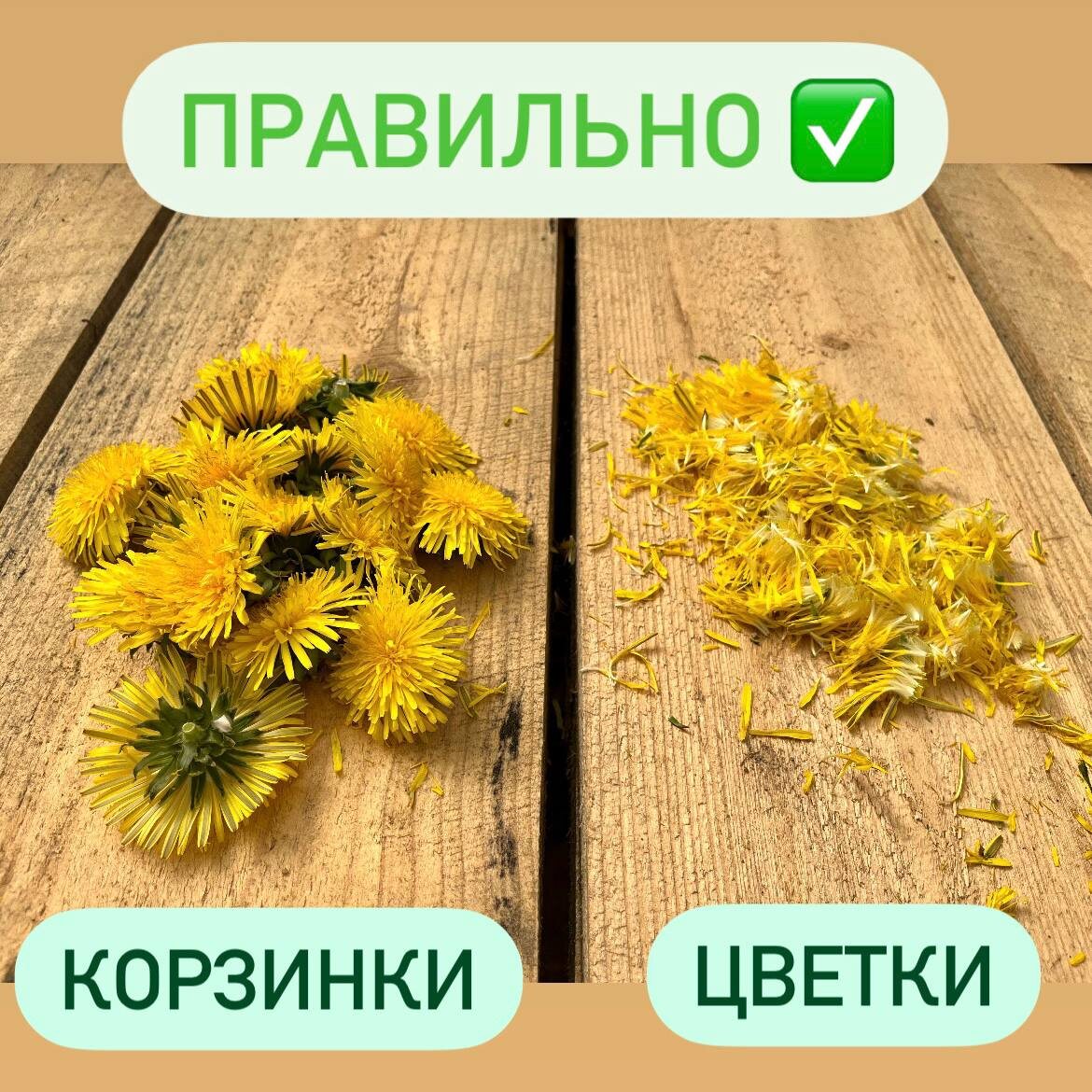 вот как правильно