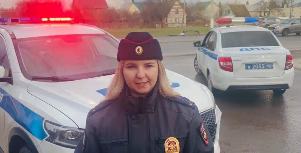    фото: УМВД России по Курской области