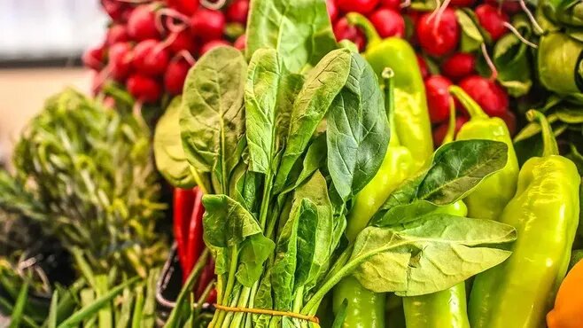 Где в холодильнике нельзя хранить зелень: главная ошибка, из-за которой ваш укроп сгниет уже через 3 дня