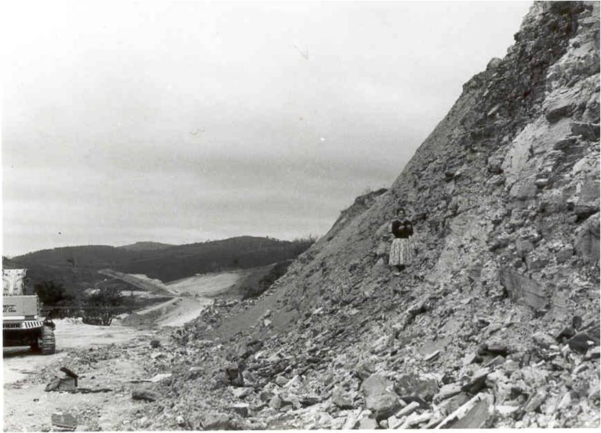 Ферма Ватерлоо, 1950-ые года