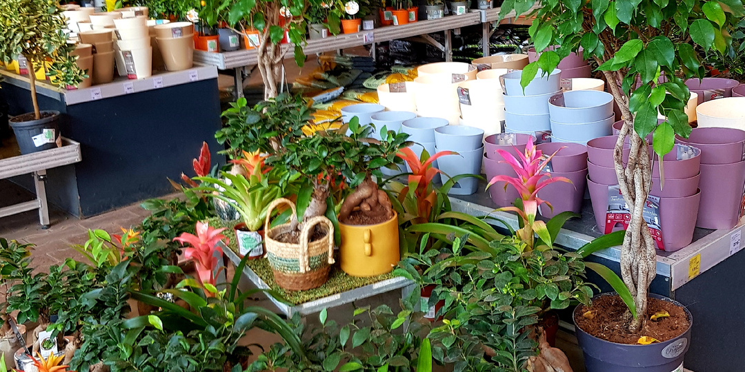 В "ОБИ" за хорошим настроением🌺🌻 Растения из Германии какие и почём✅ Семена овощей и цветов от 4 рублей.