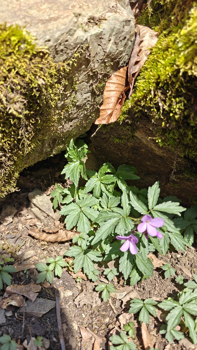 На "Тропе здоровья" 