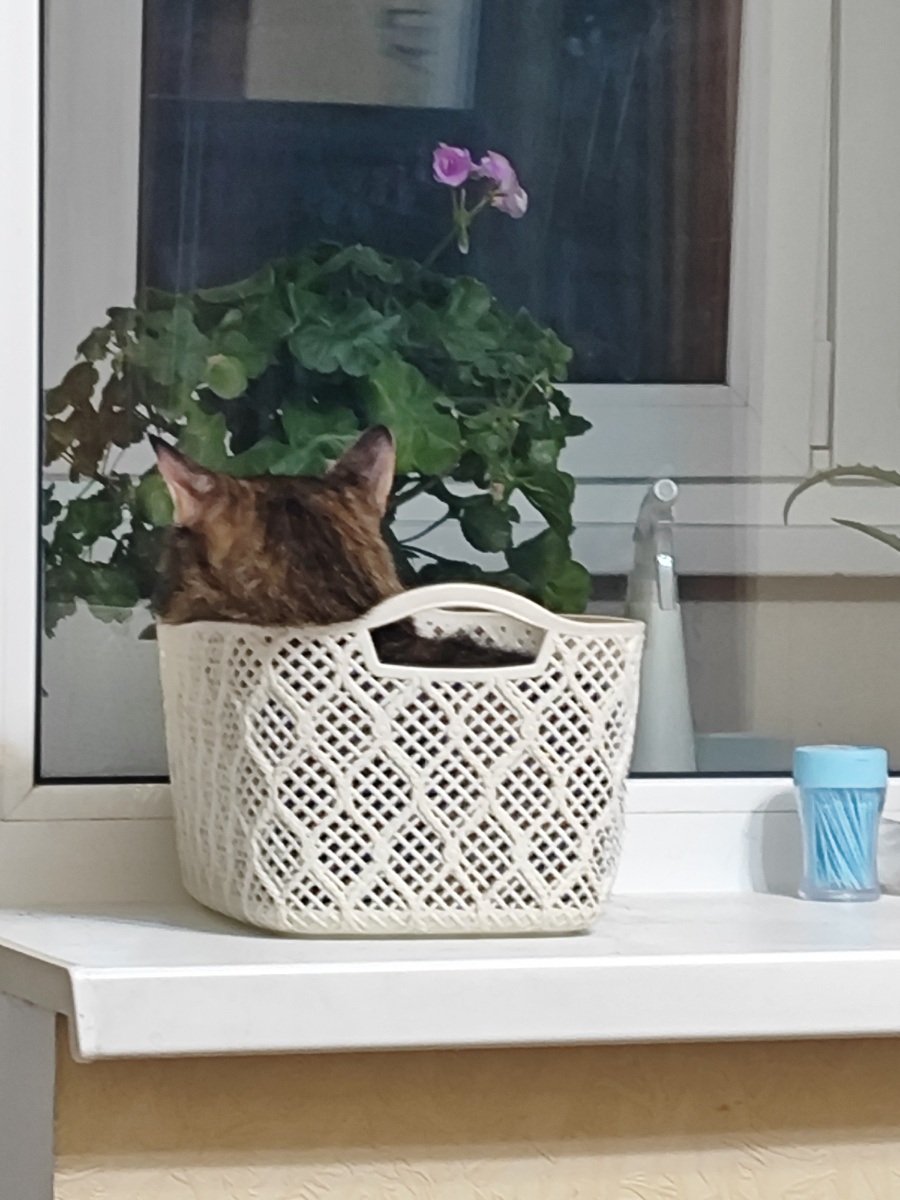 У Матюси сегодня настроение: глаза б мои не видели!