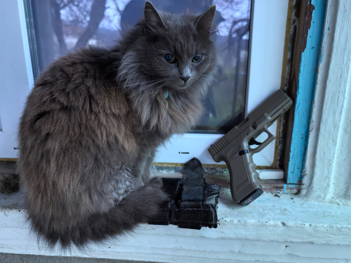 Это что, мне?