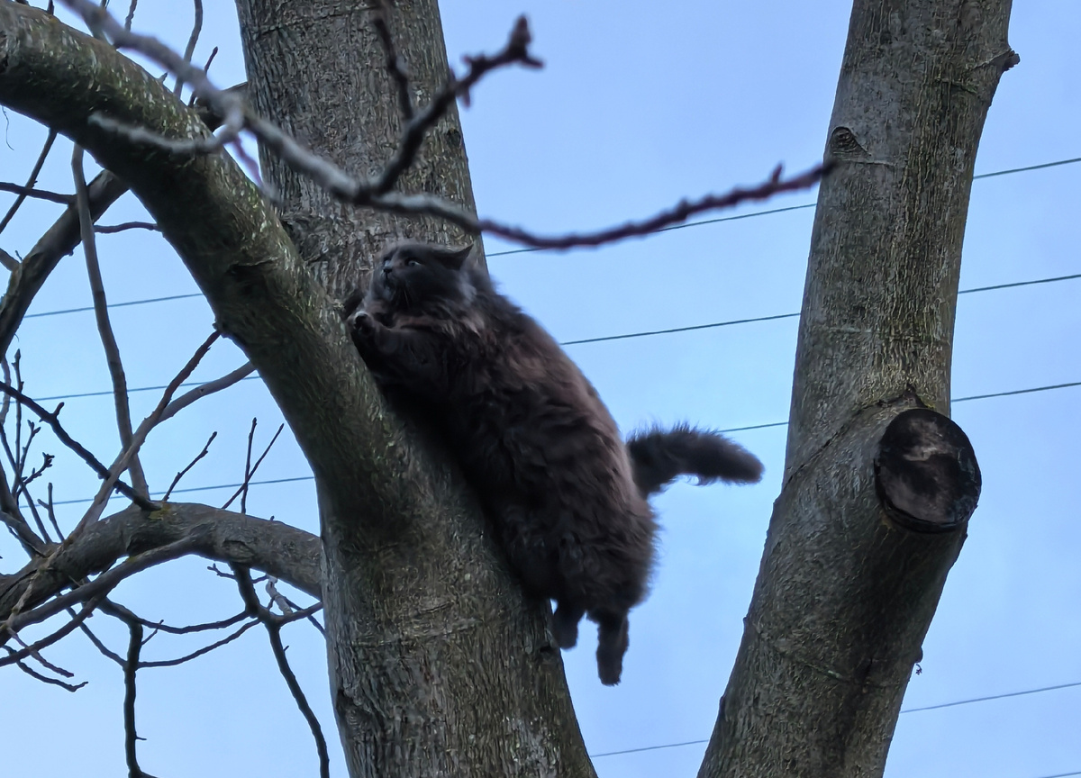 ПАМАГИТЕ!!!!