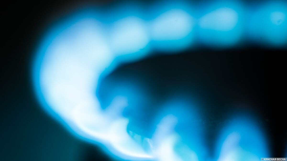     Газ   
Владимир Чичилимов © ИА Красная Весна