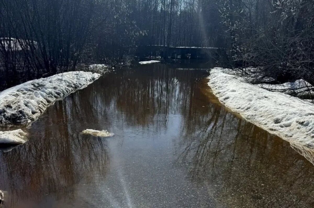    Три моста затопило в Нижегородской области в результате паводка