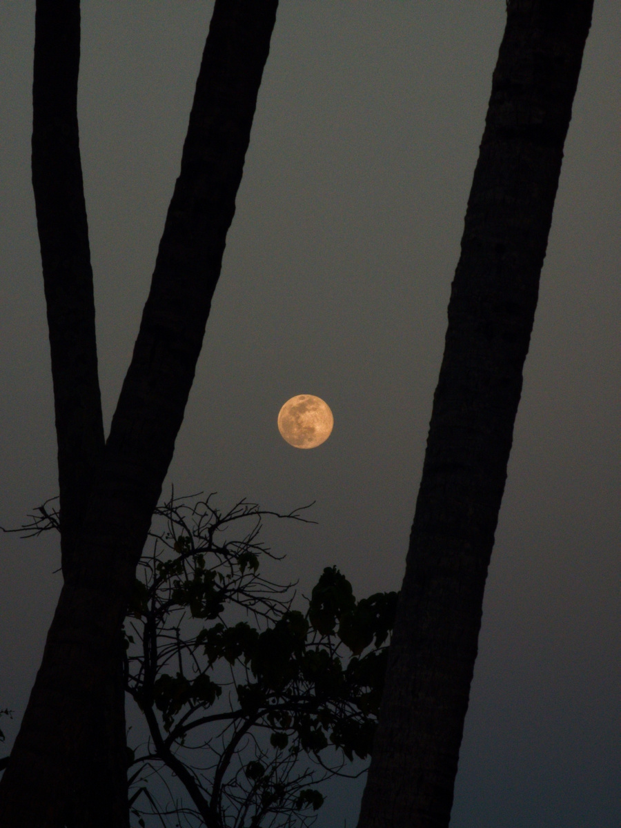    полнолуние 2 апреля что нельзя делать