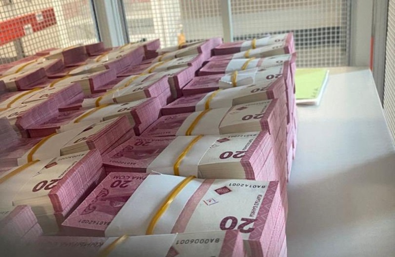 Сомы. Фото с сайта 24.kg