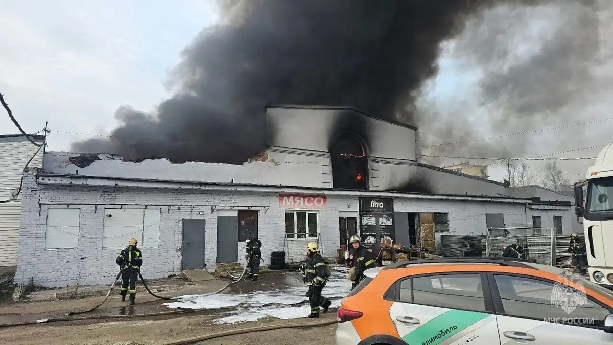 Фото: пресс-служба ГУ МЧС по Петербургу