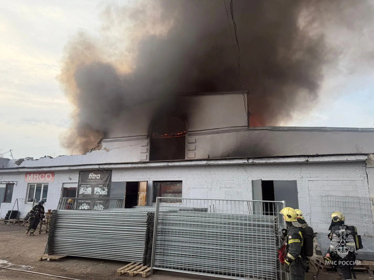     Пострадавших пока нет, к ликвидации привлекли 48 человек и 12 единиц техники. Фото: пресс-служба МЧС Петербурга