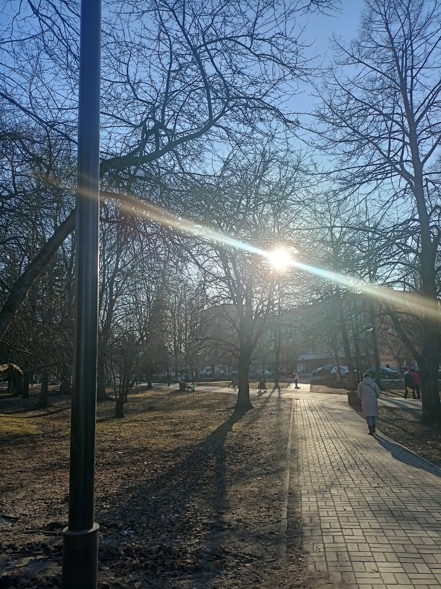    Валерия Райкерус