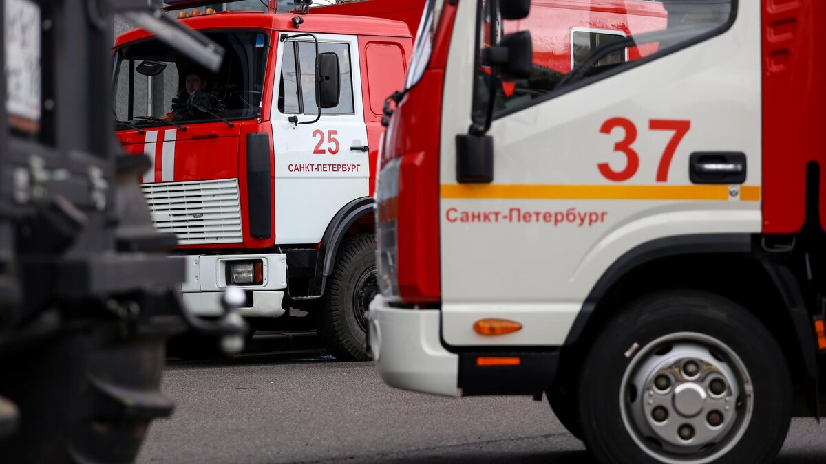    Фото: ИЗВЕСТИЯ/Евгений Павлов