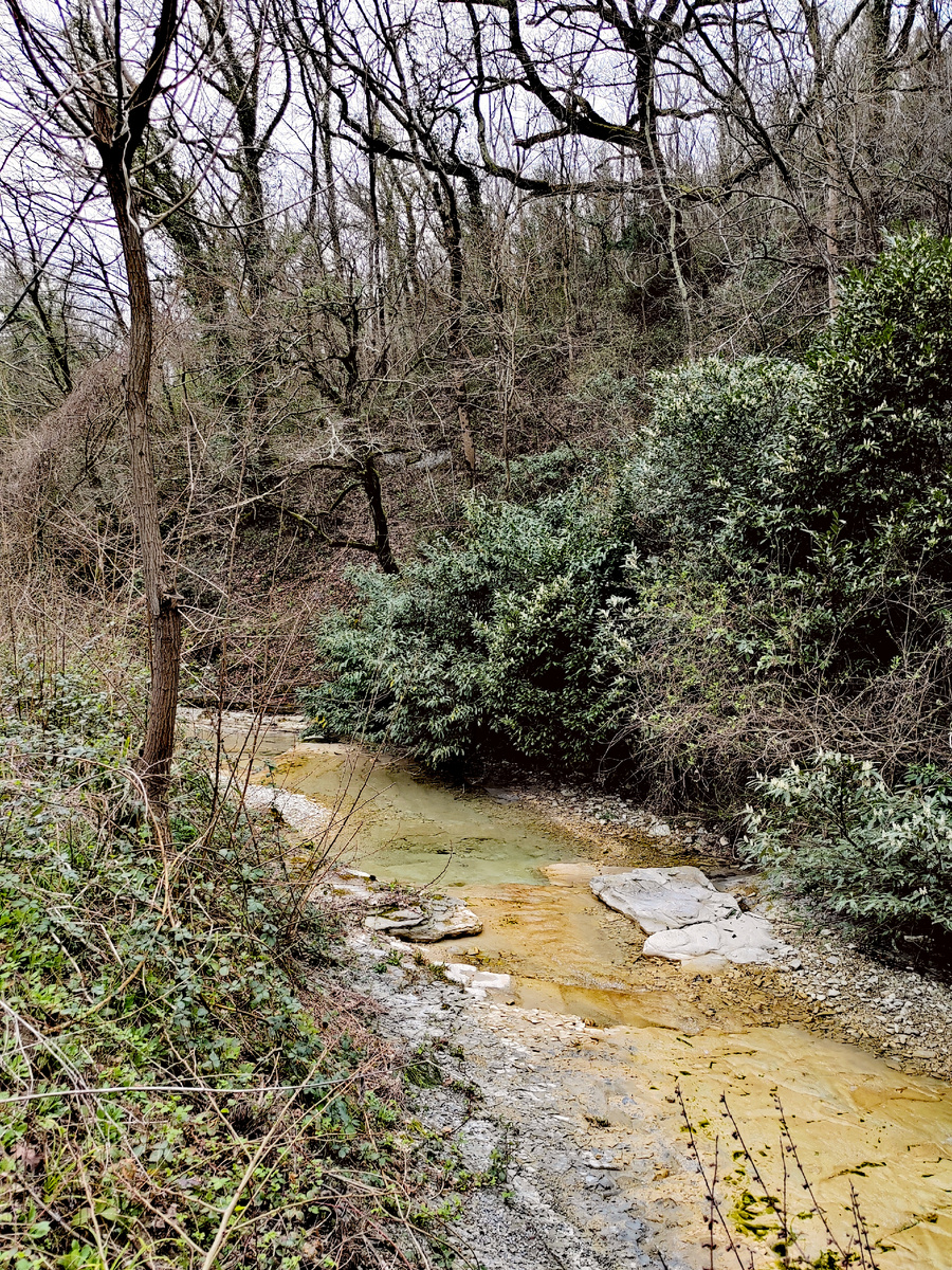 Река Магри. Магри, Большой Сочи. Фото автора