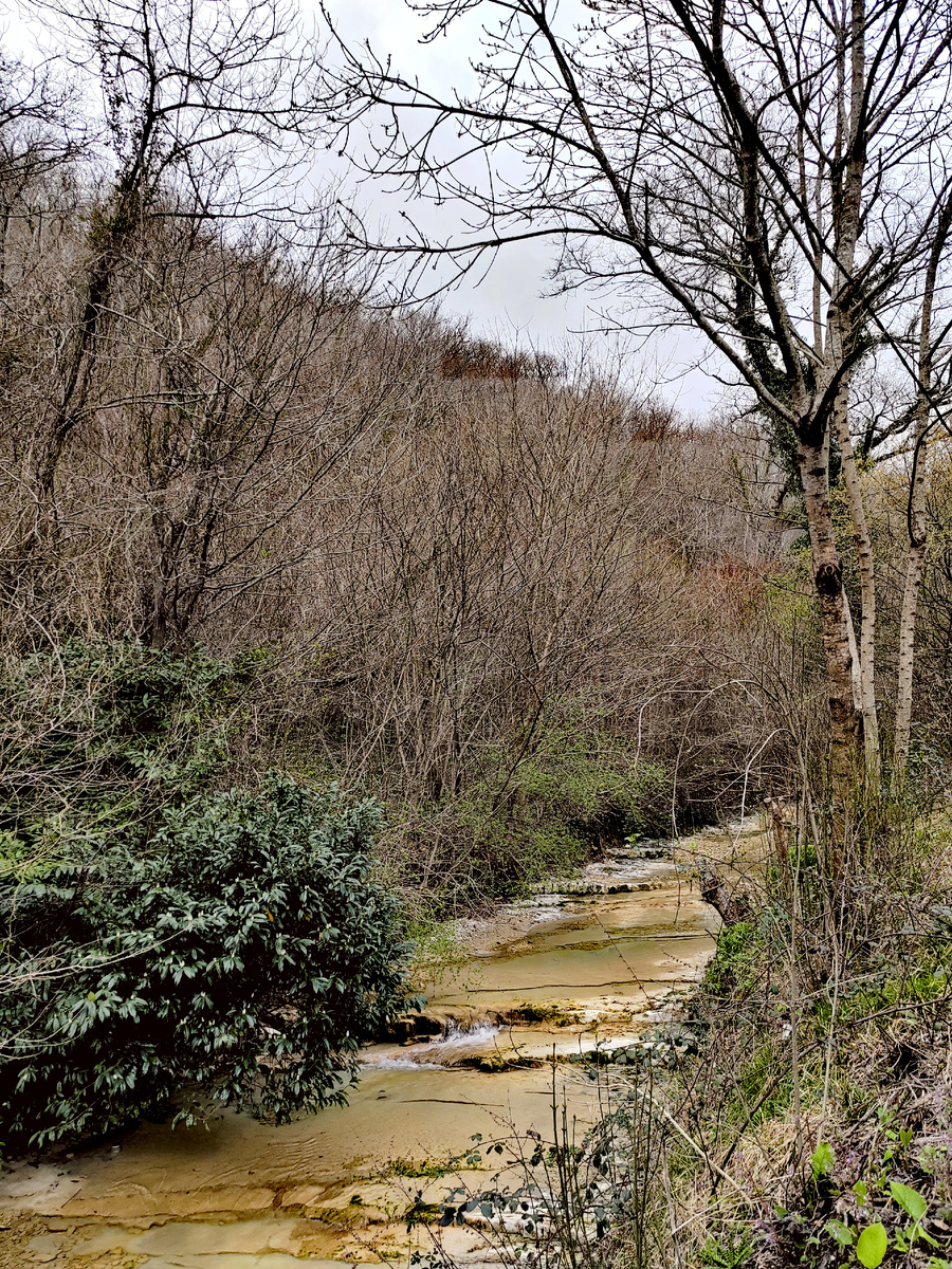 Река Магри. Магри, Большой Сочи. Фото автора