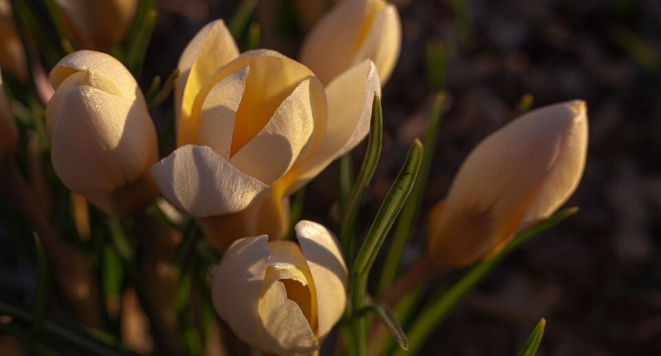    Медиасток.рф