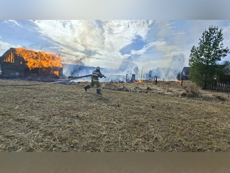     В Пестовском округе загорелась трава, ветер погнал пламя к жилым домам. фото: пресс-служба Управления защиты населения от ЧС и по обеспечению пожарной безопасности Новгородской области