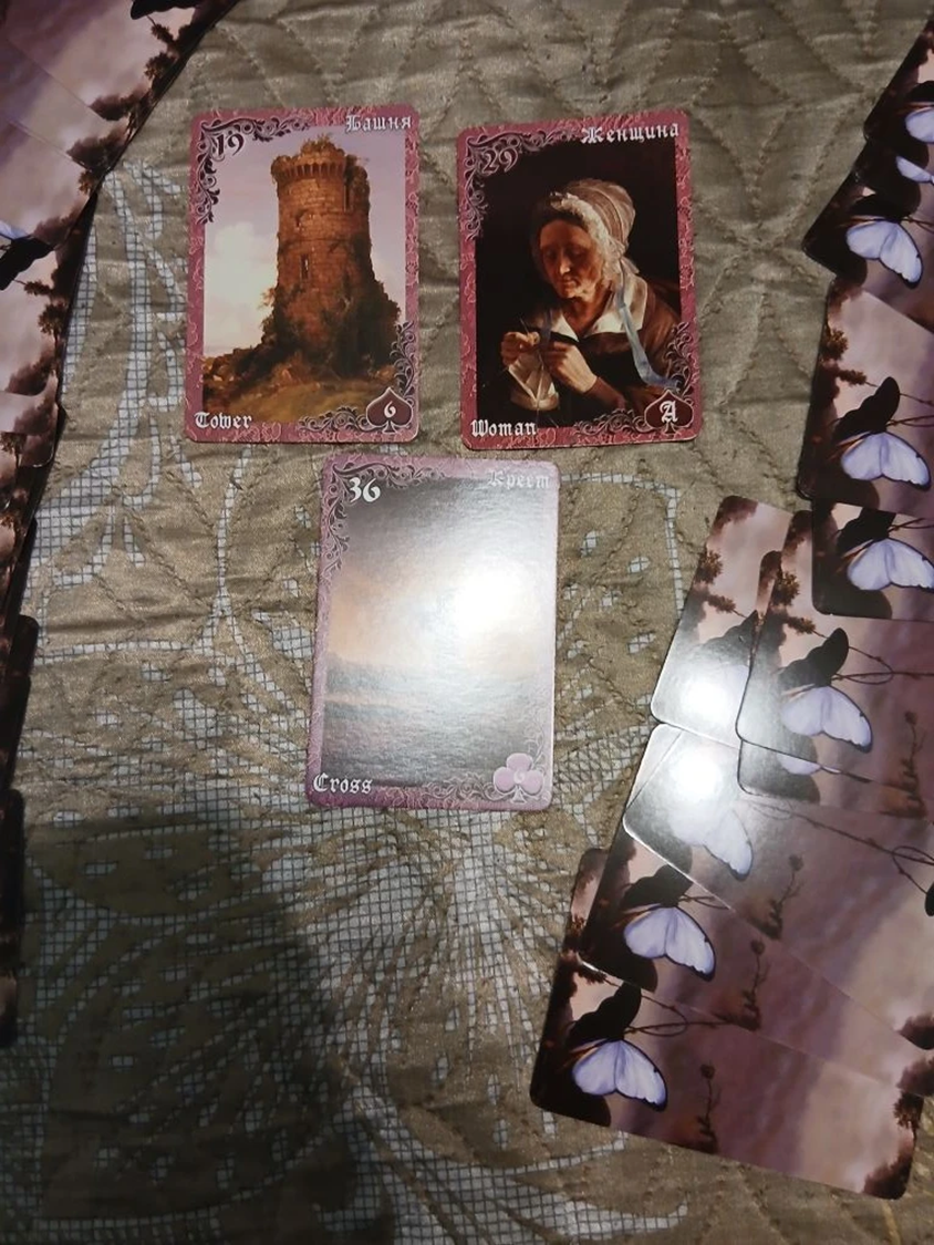 Карты: кошачий разбор с цветовой магией 🃏🔍