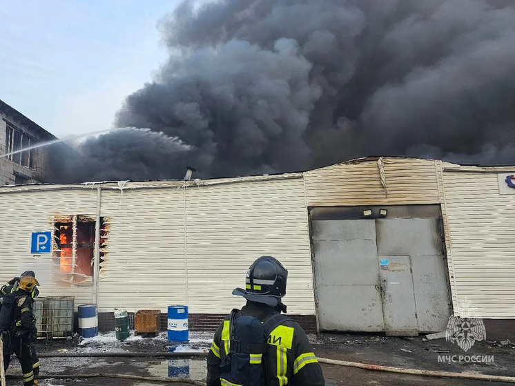     Фото: пресс-служба МЧС Петербурга