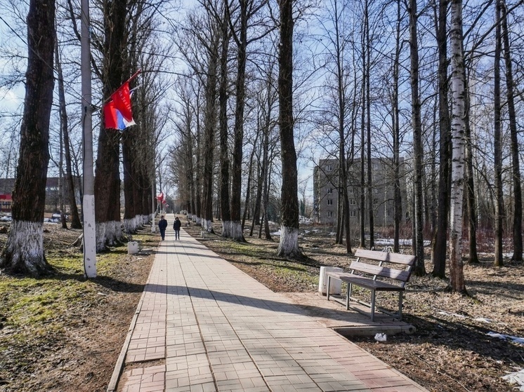     фото: пресс-служба Центра развития городской среды Новгородской области