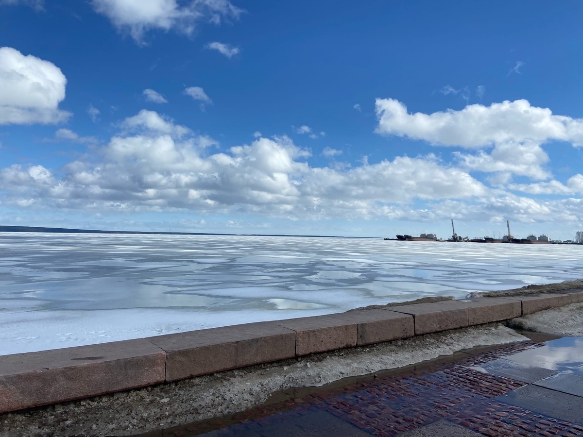    фото: © Мария Голубева