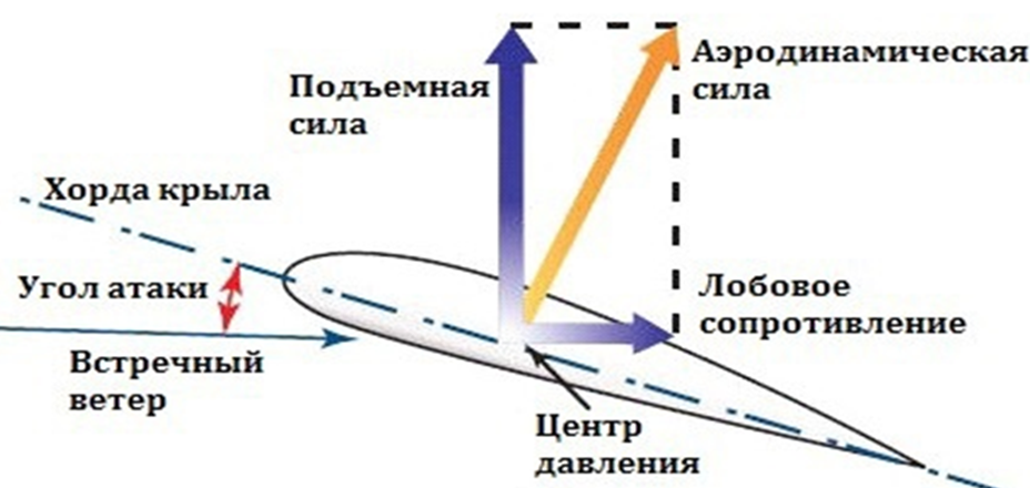 «Крыло не толкает вверх. Оно всасывает»