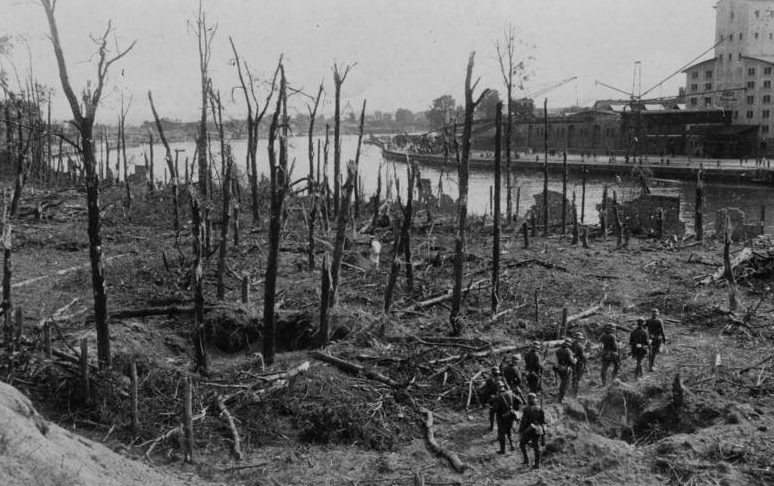 Часть леса на Вестерплатте после боев