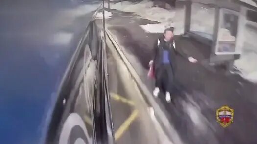    Источник: vm.ru/ Полина Краснова