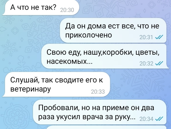 9 весёлых переписок,в которых кот – это центр вселенной