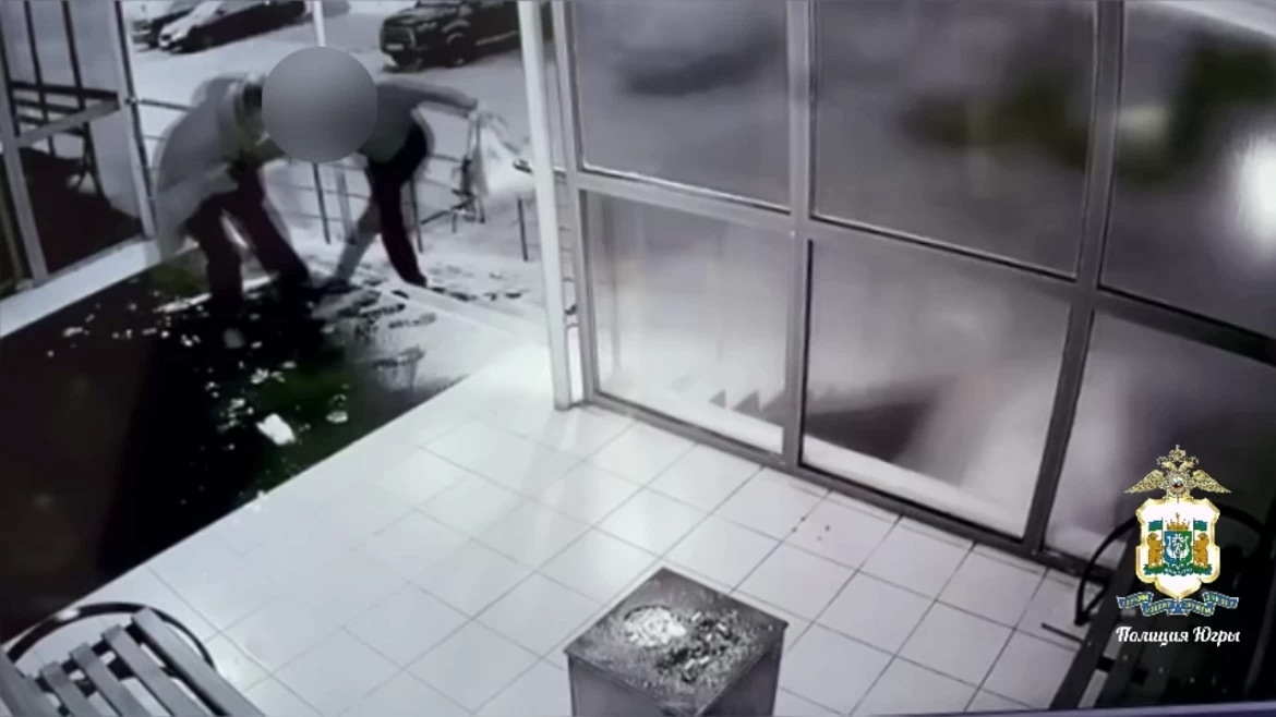    В Москве при попытке улететь в Турцию задержали иностранца-грабителя из Нижневартовска