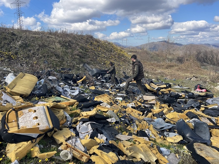 Источник: ИА ParkInfo