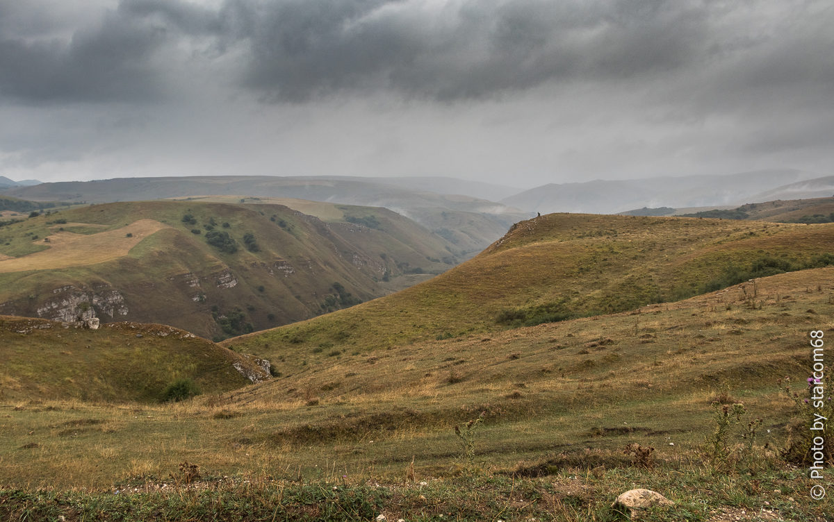Какая-то живописная балка по пути. Я даже не помню, где я это сфотографировал