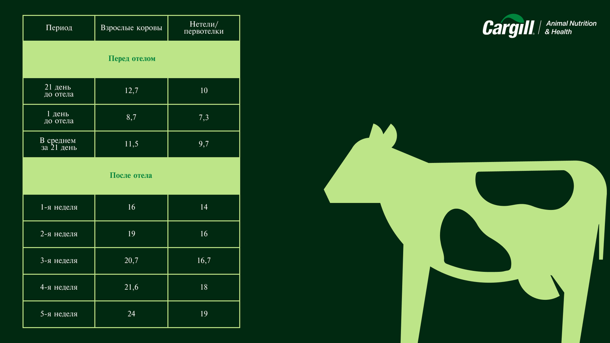 Таблица 1. Потребление сухого вещества в транзитный период, кг/день
