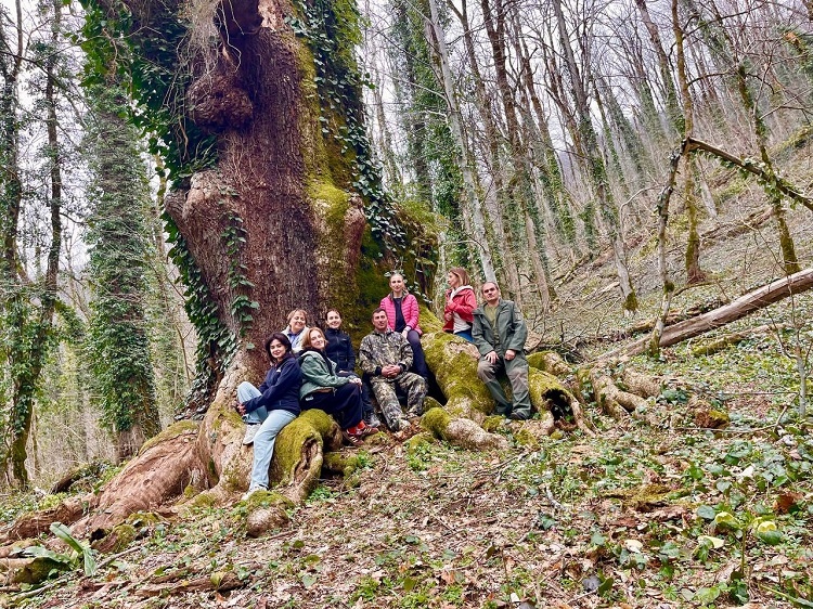 Источник: ИА ParkInfo