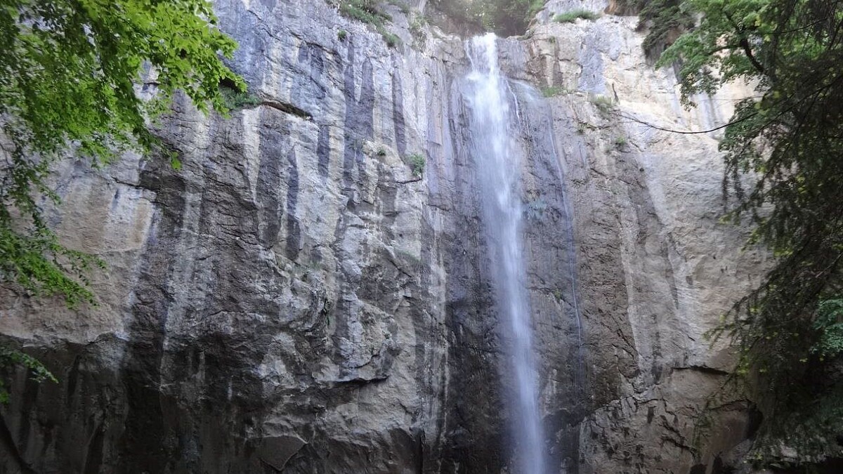    Фото: телеканал «Краснодар»